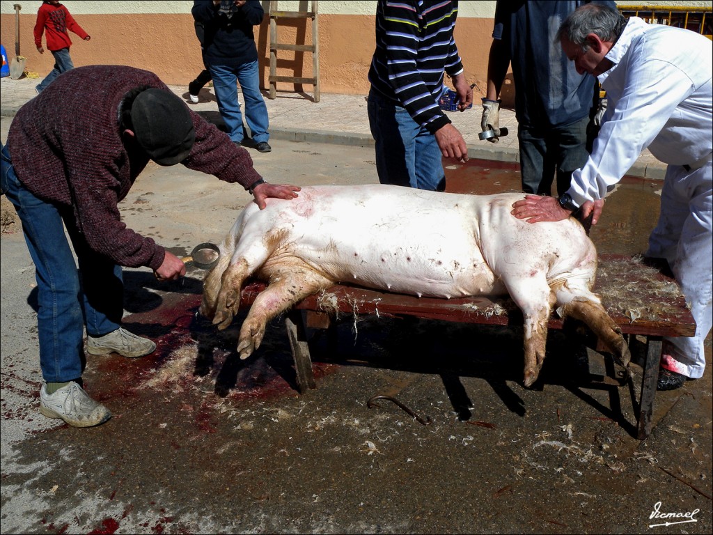 Foto: 110319-33 MATANZA Y BOLILLOS - Arcos De Jalon (Soria), España