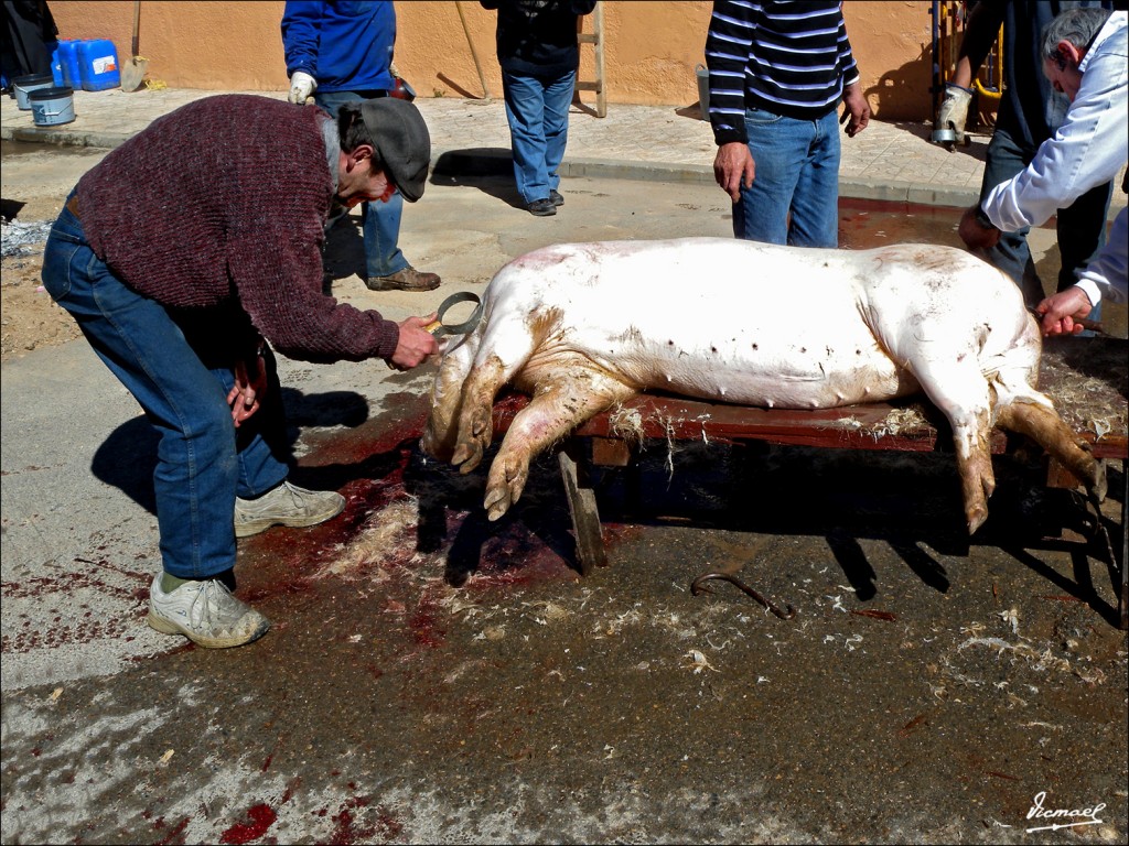 Foto: 110319-34 MATANZA Y BOLILLOS - Arcos De Jalon (Soria), España