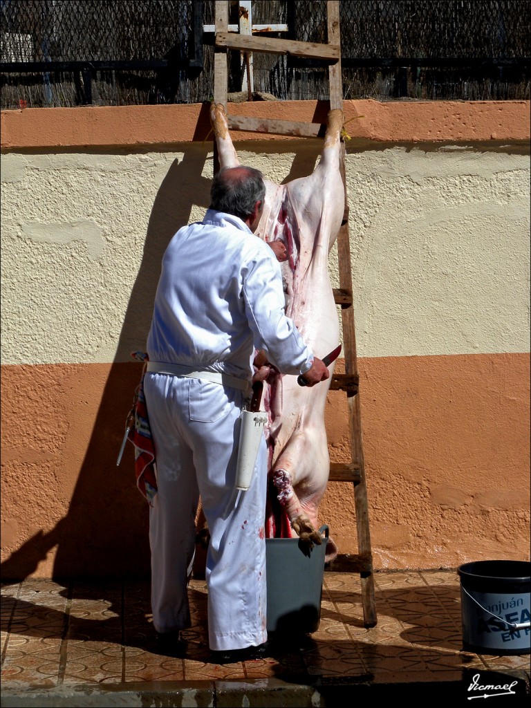 Foto: 110319-41 MATANZA Y BOLILLOS - Arcos De Jalon (Soria), España