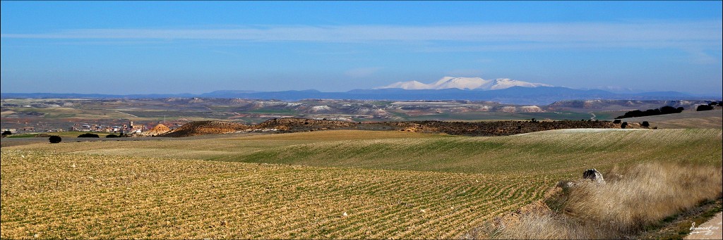 Foto: 110320-20 ALMALUEZ - Almaluez (Soria), España