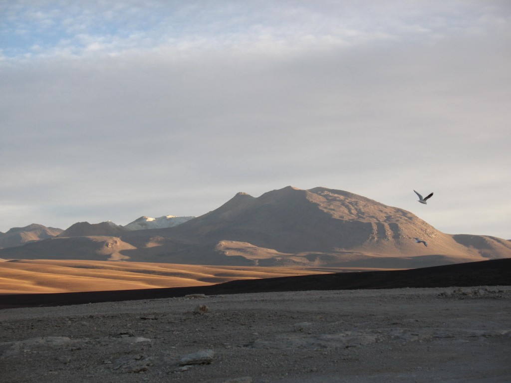 Foto: Laguna Blanca y alrededores - Sud Lípez (Potosí), Bolivia