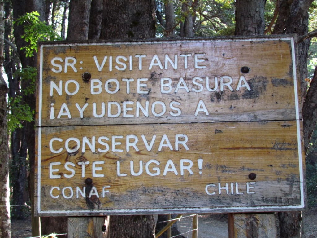 Foto: Ascenso al Enladrillado - Vilches (Maule), Chile