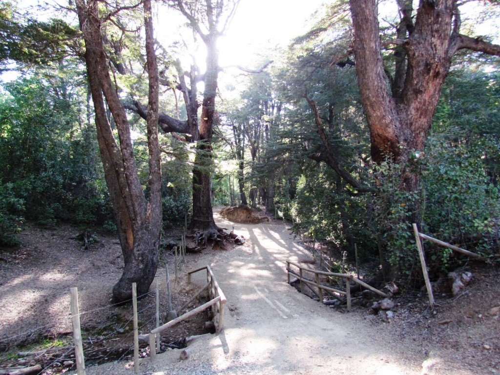 Foto: Ascenso al Enladrillado - Vilches (Maule), Chile