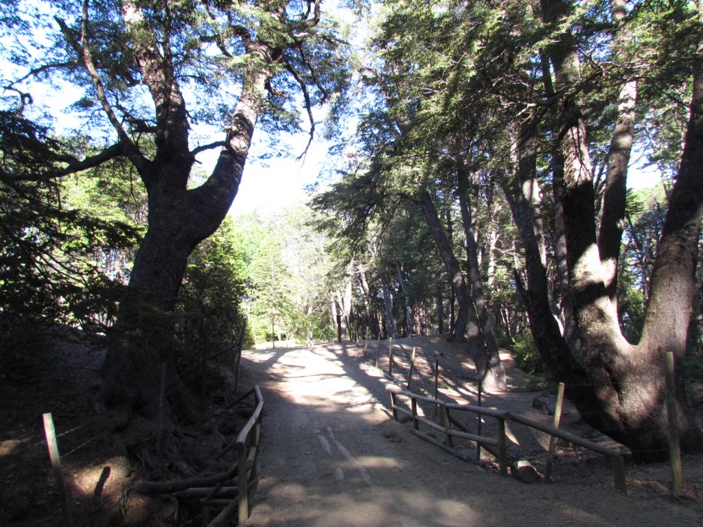 Foto: Ascenso al Enladrillado - Vilches (Maule), Chile