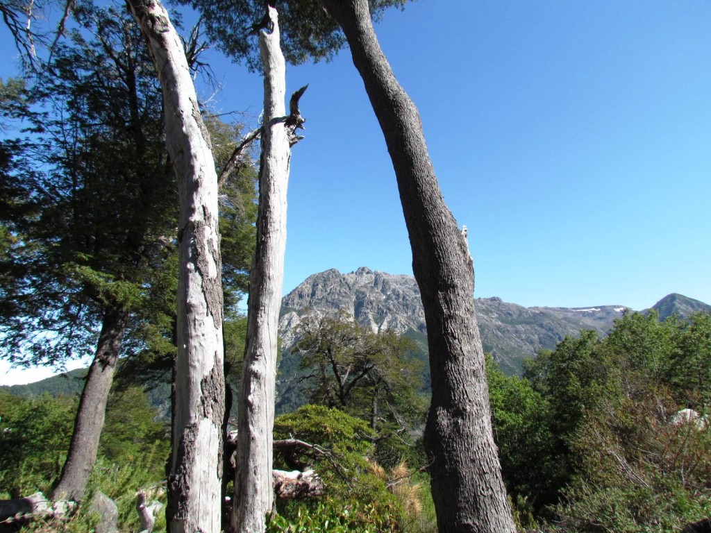 Foto: Ascenso al Enladrillado - Vilches (Maule), Chile
