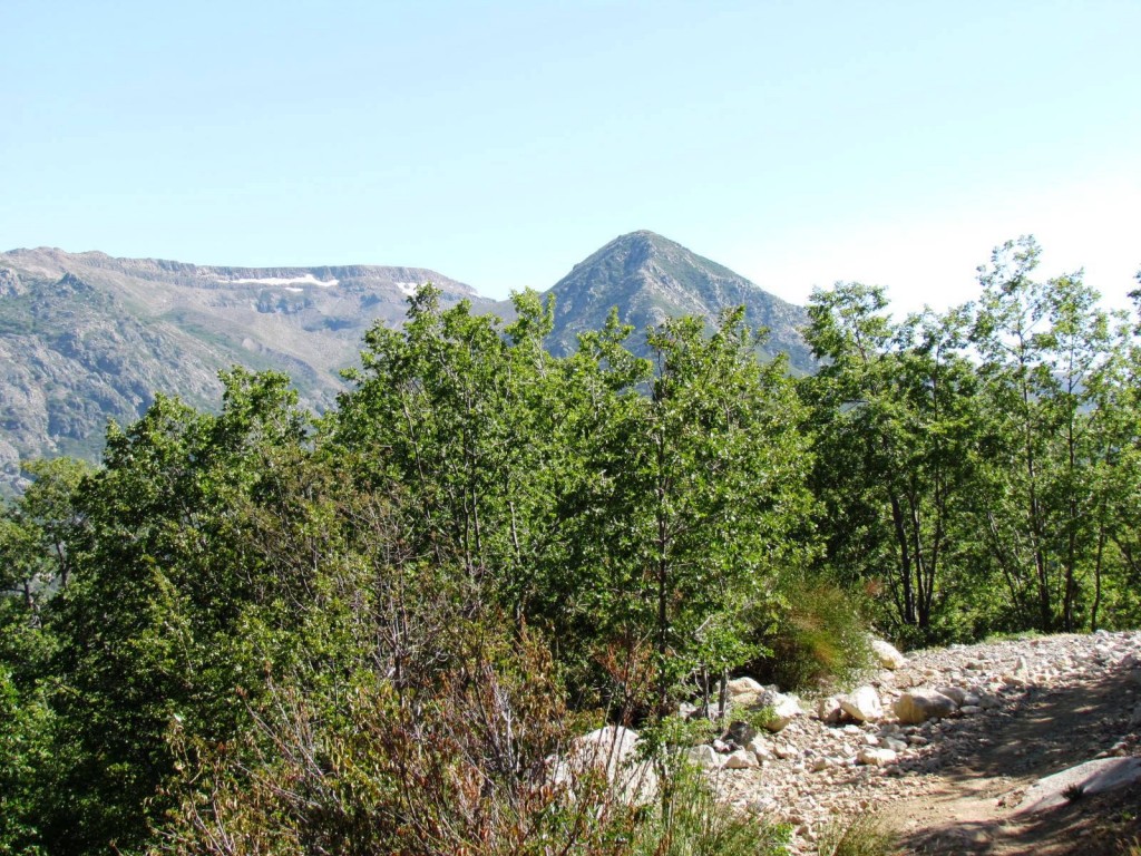 Foto: Ascenso al Enladrillado - Vilches (Maule), Chile