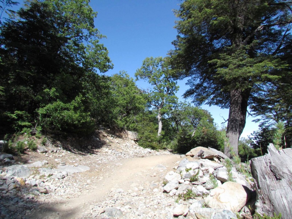 Foto: Ascenso al Enladrillado - Vilches (Maule), Chile