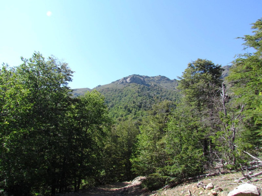 Foto: Ascenso al Enladrillado - Vilches (Maule), Chile