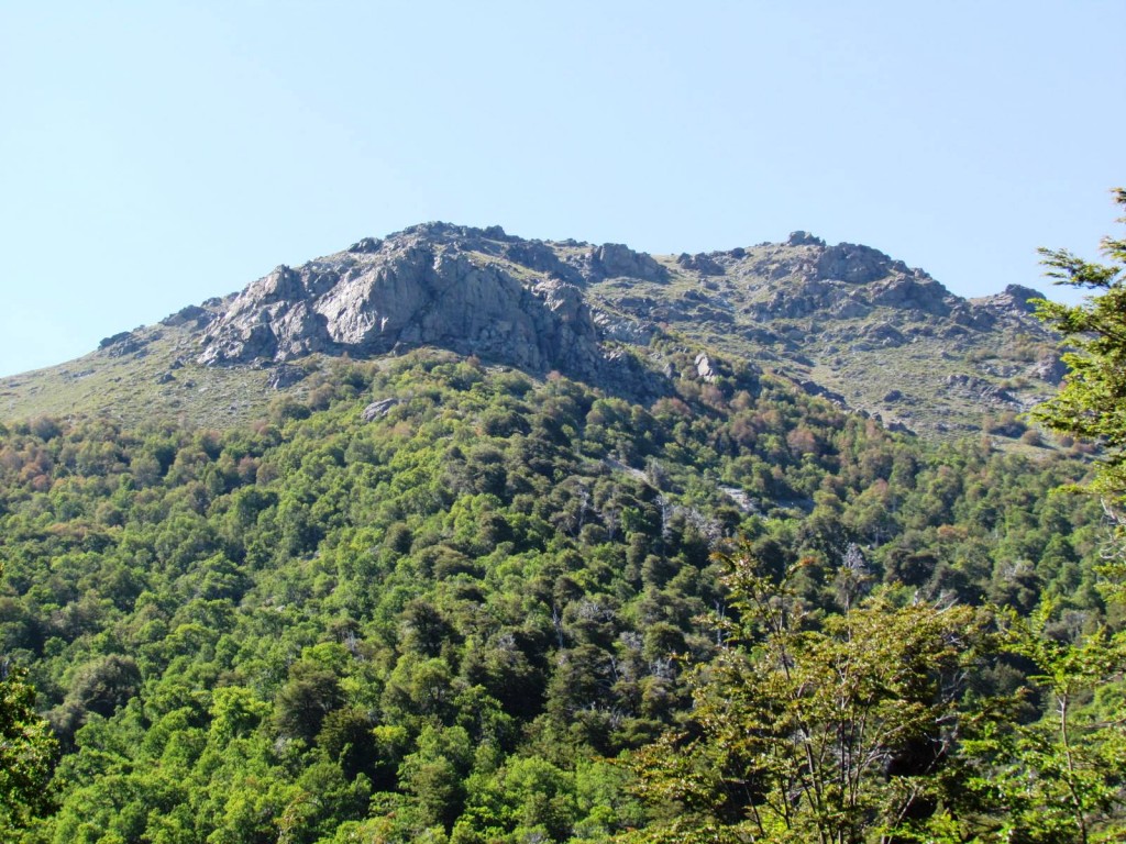 Foto: Ascenso al Enladrillado - Vilches (Maule), Chile