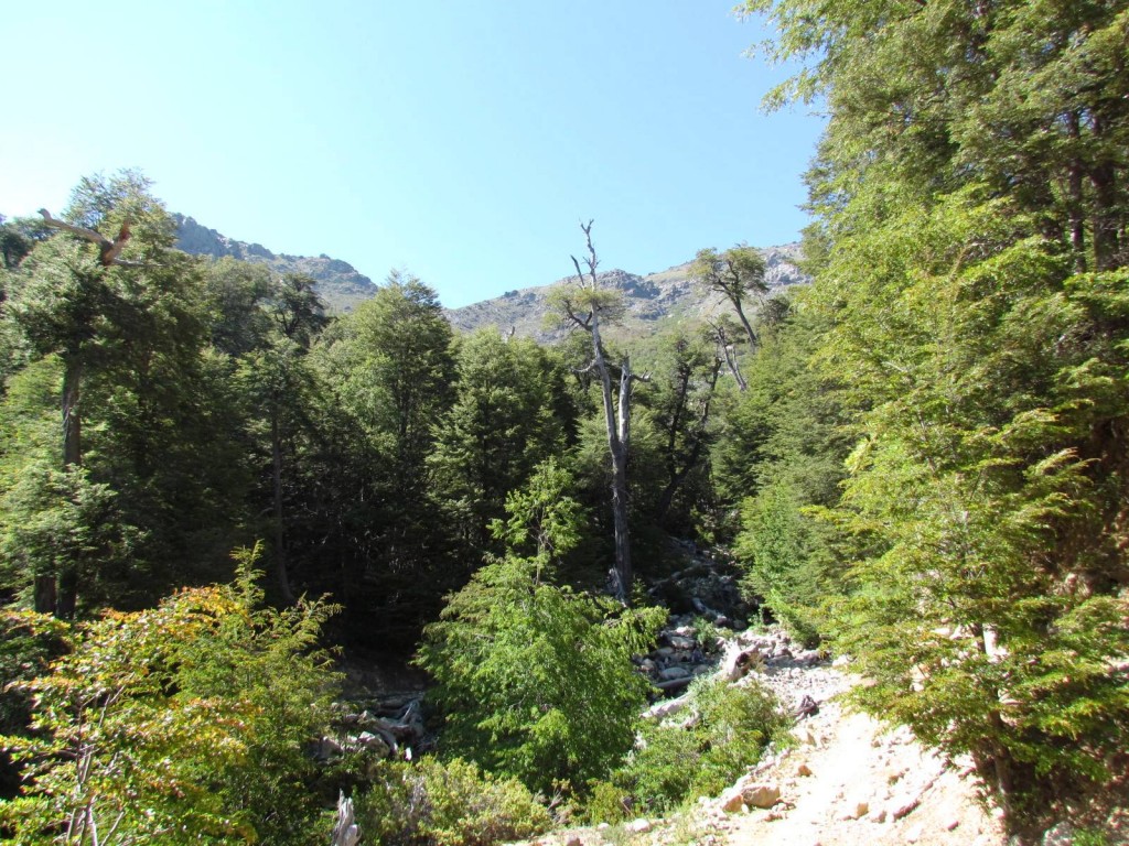 Foto: Ascenso al Enladrillado - Vilches (Maule), Chile