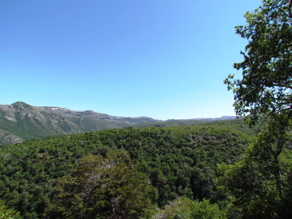 Foto: Ascenso al Enladrillado - Vilches (Maule), Chile