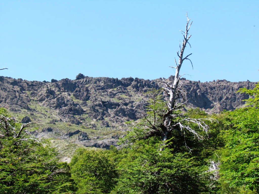 Foto: Ascenso al Enladrillado - Vilches (Maule), Chile