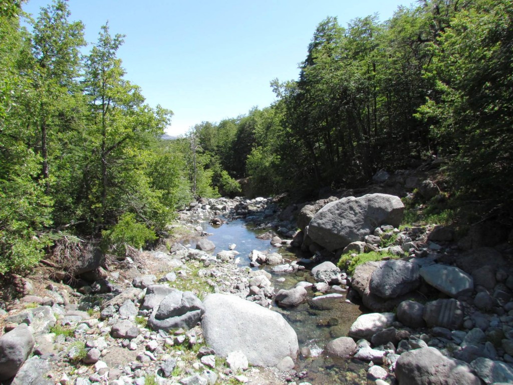 Foto: Ascenso al Enladrillado - Vilches (Maule), Chile