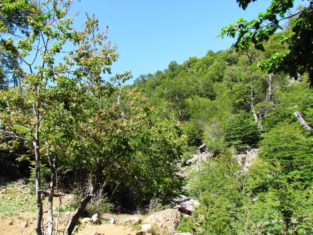 Foto: Ascenso al Enladrillado - Vilches (Maule), Chile