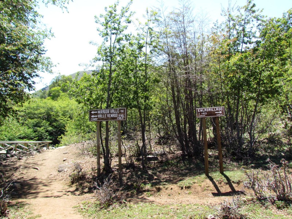 Foto: Ascenso al Enladrillado - Vilches (Maule), Chile
