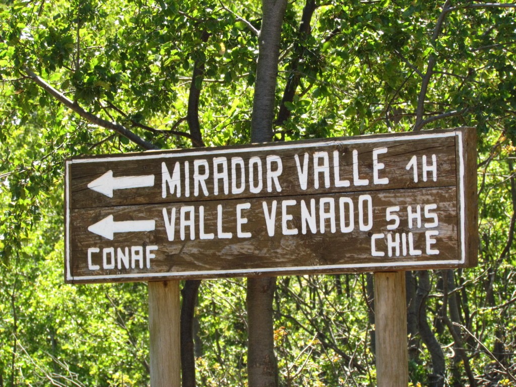 Foto: Ascenso al Enladrillado - Vilches (Maule), Chile