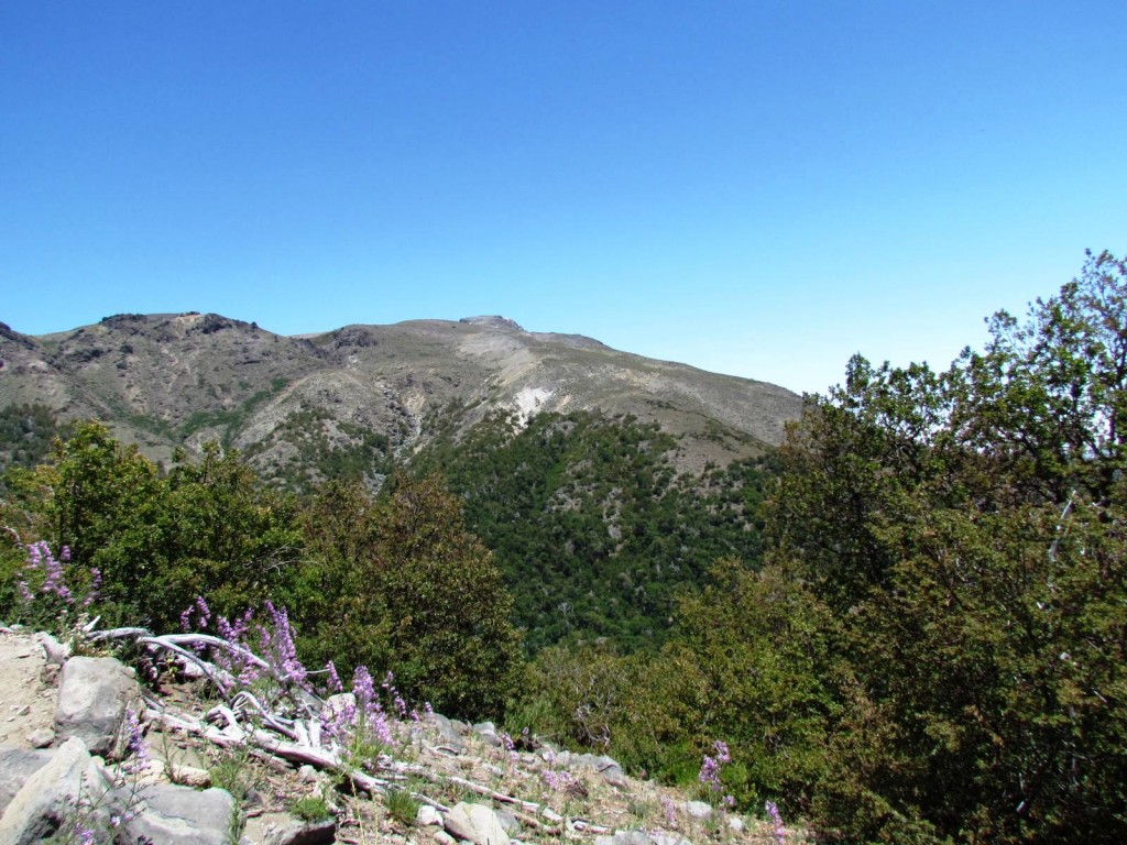 Foto: Ascenso al Enladrillado - Vilches (Maule), Chile