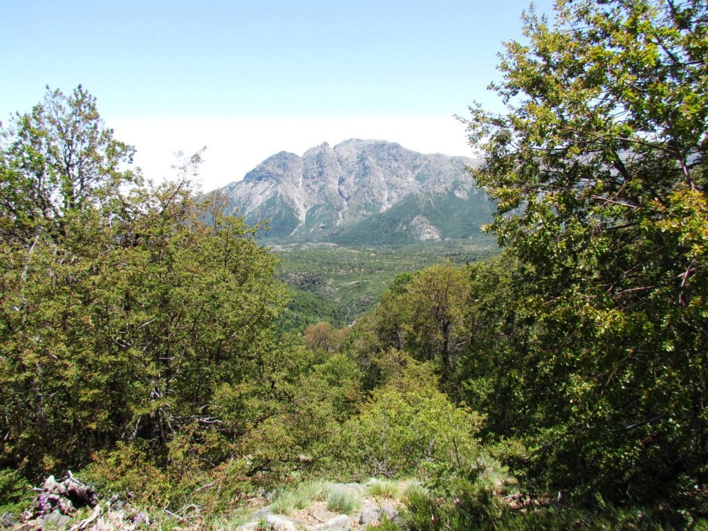 Foto: Ascenso al Enladrillado - Vilches (Maule), Chile