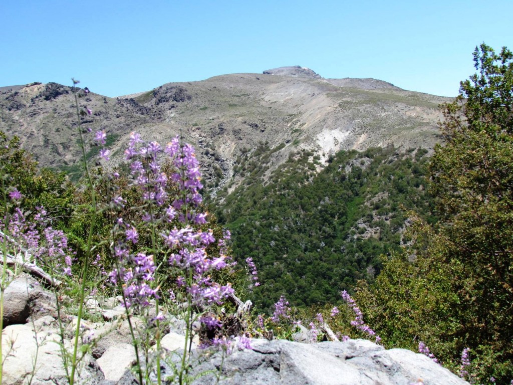 Foto: Ascenso al Enladrillado - Vilches (Maule), Chile