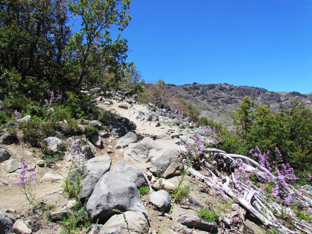 Foto: Ascenso al Enladrillado - Vilches (Maule), Chile