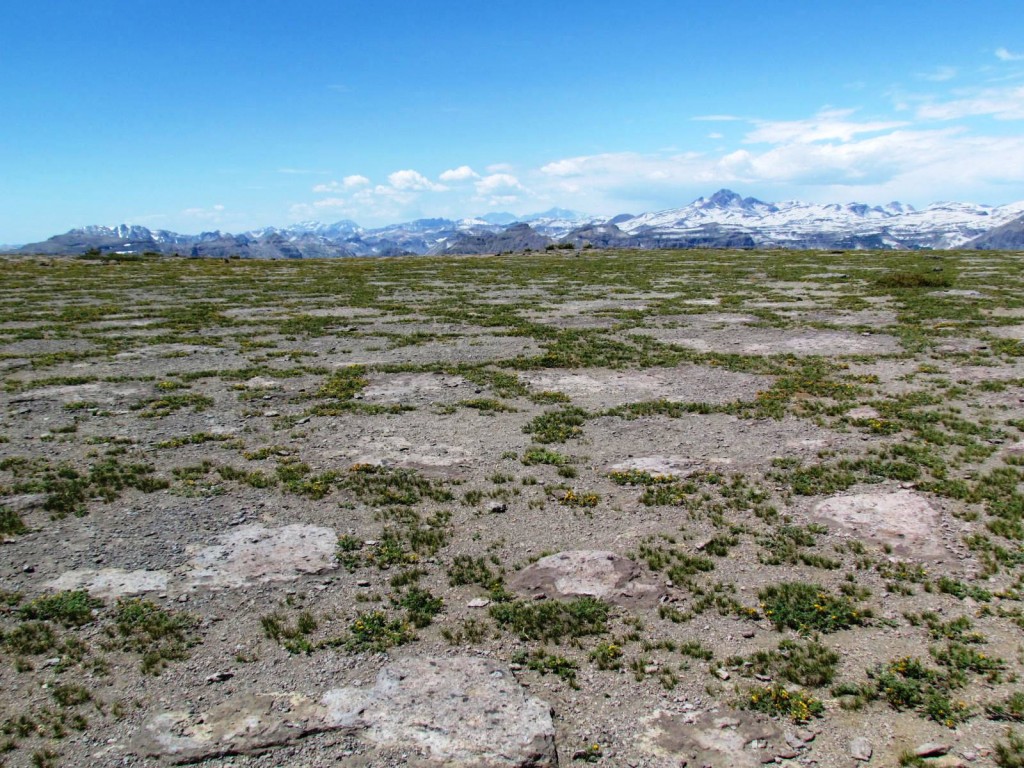 Foto: Cumbre  del Enladrillado - Vilches (Maule), Chile