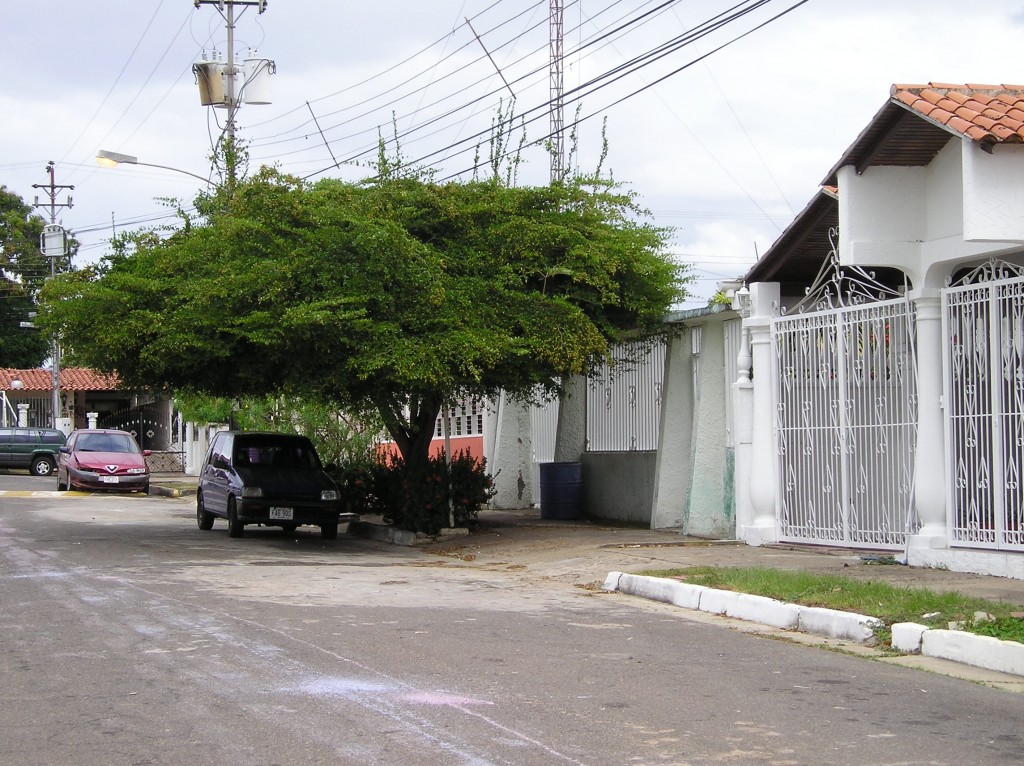 Foto: Una calle - Puerto Ordaz, Venezuela