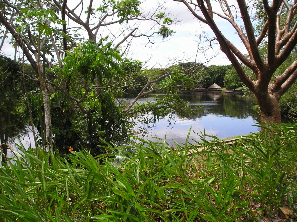 Foto: Un ángulo del parque La Llovizna - Puerto Ordaz (Bolívar), Venezuela