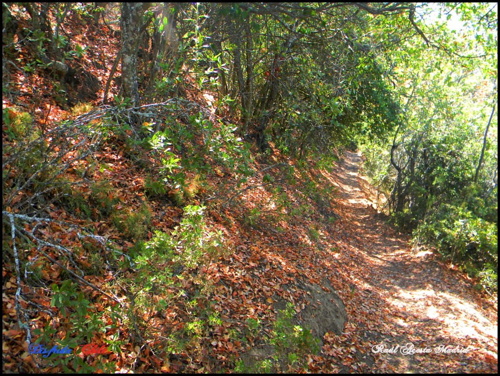 Foto: Sendero al Chivato - Lo Miranda (Libertador General Bernardo OʼHiggins), Chile