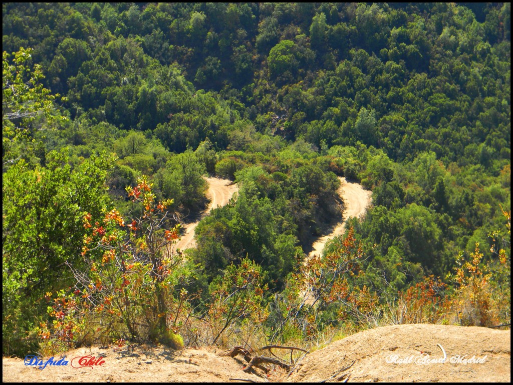 Foto: Camino al morro del Chivato - Lo Miranda (Libertador General Bernardo OʼHiggins), Chile