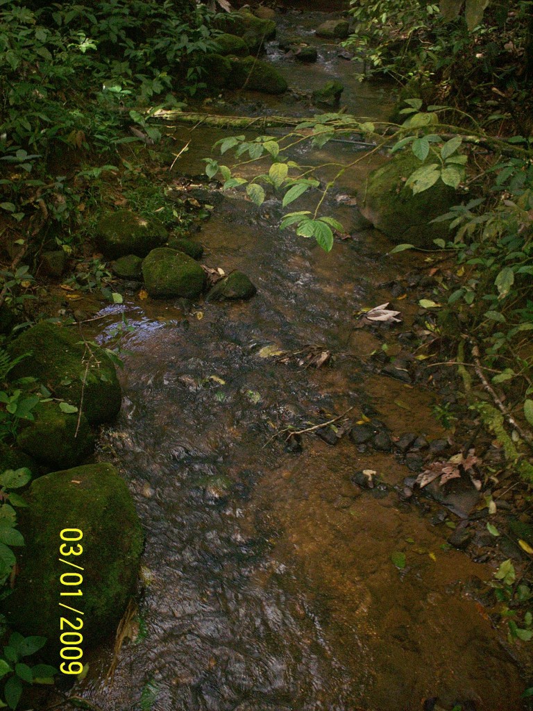 Foto: Aguas Zarcas - Aguas Zarcas (Alajuela), Costa Rica