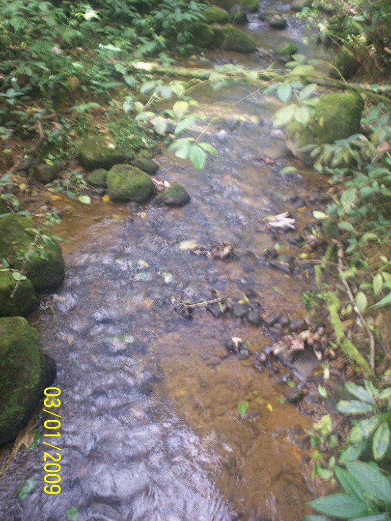 Foto: Aguas Zarcas - Aguas Zarcas (Alajuela), Costa Rica