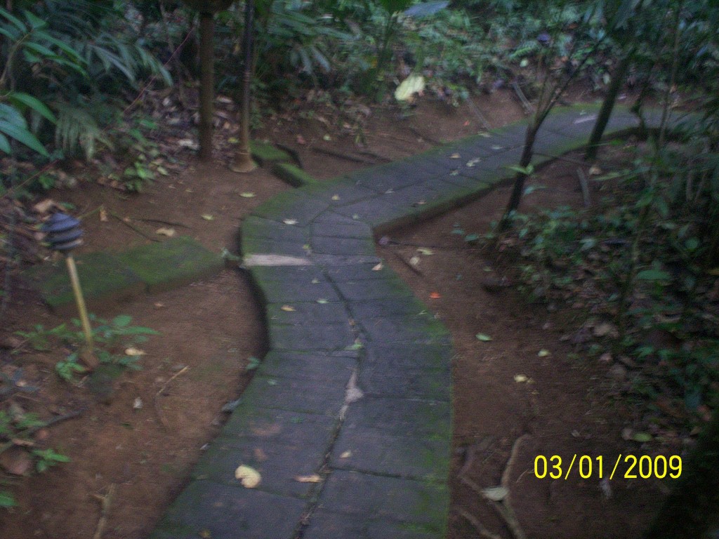 Foto: Aguas Zarcas - Aguas Zarcas (Alajuela), Costa Rica