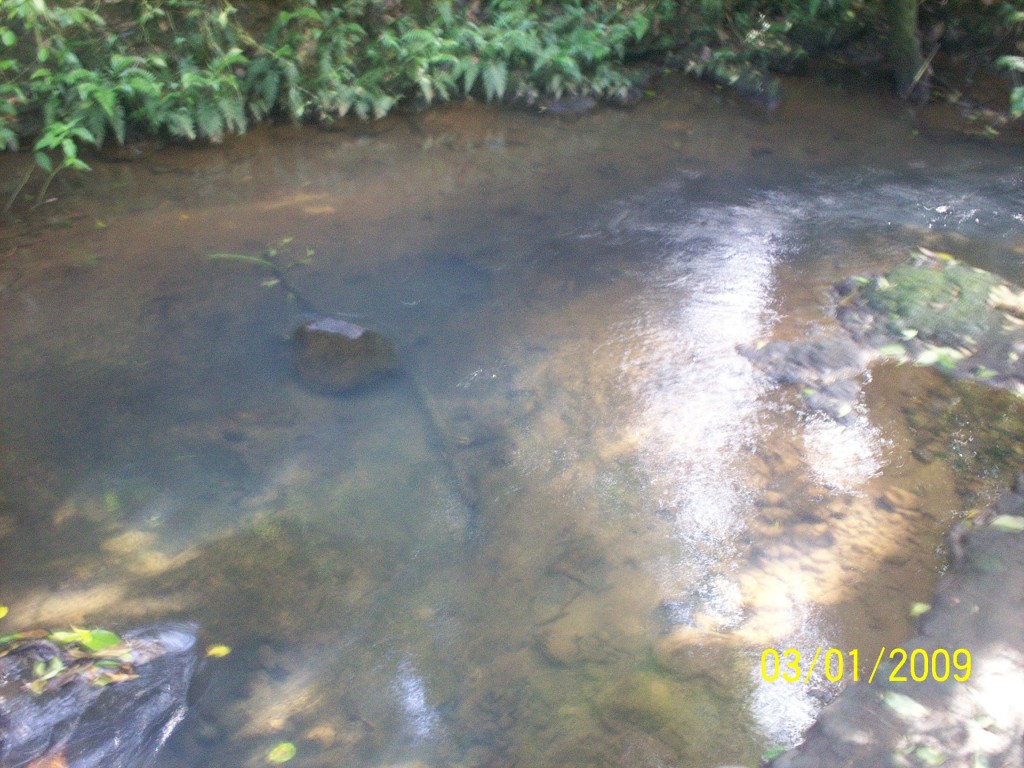 Foto: Aguas Zarcas - Aguas Zarcas (Alajuela), Costa Rica