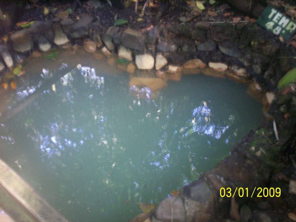 Foto: Aguas Zarcas - Aguas Zarcas (Alajuela), Costa Rica