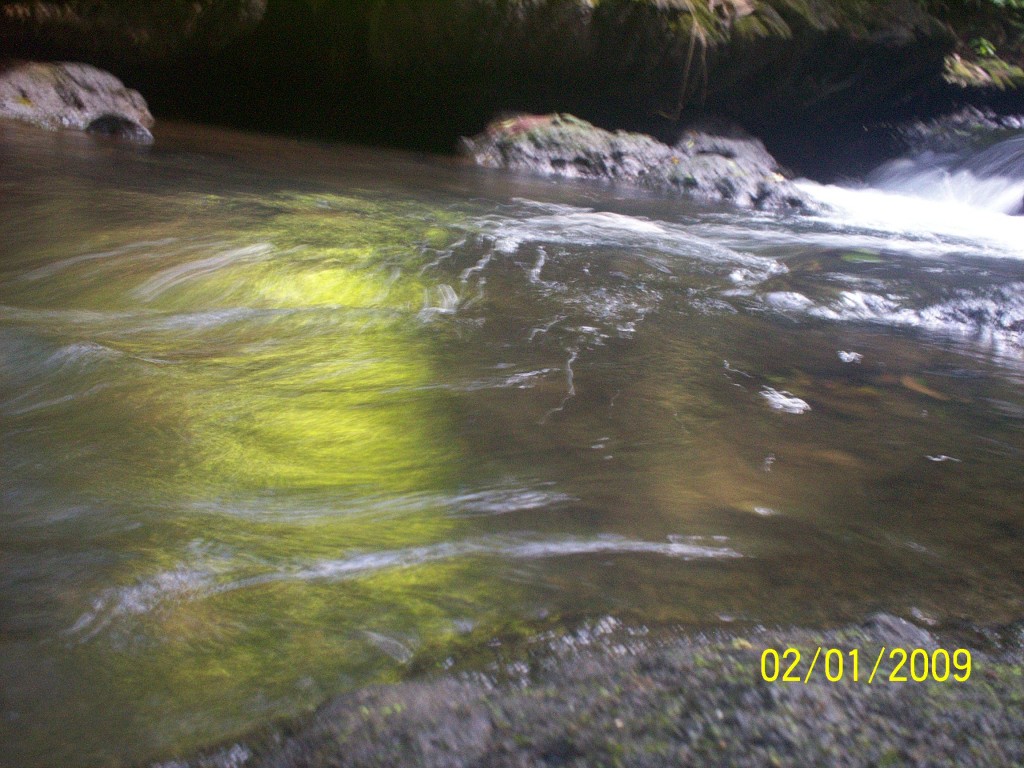 Foto: Aguas Zarcas - Aguas Zarcas (Alajuela), Costa Rica