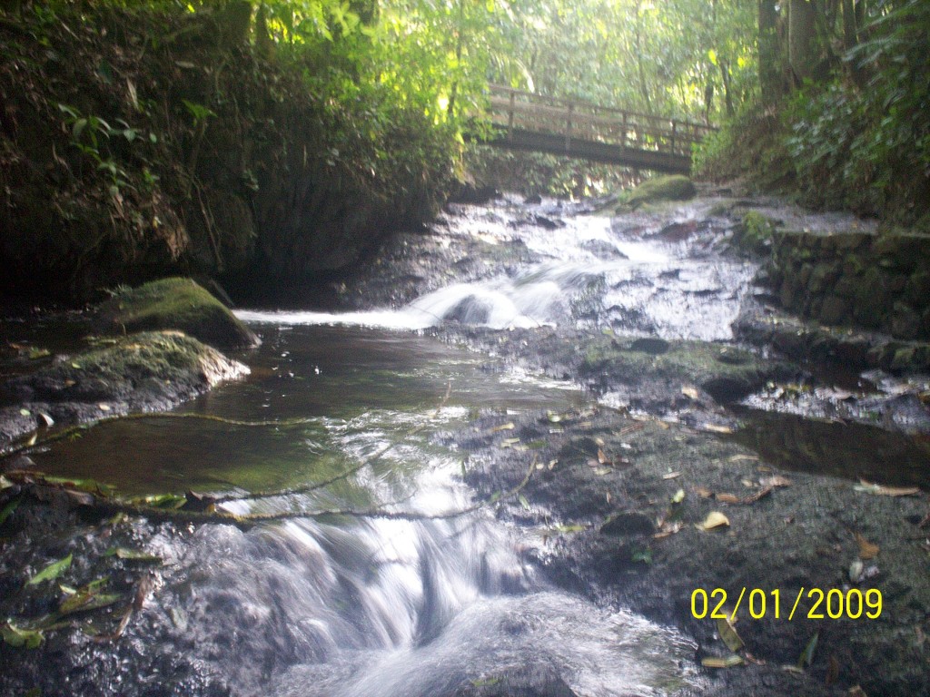 Foto: Aguas Zarcas - Aguas Zarcas (Alajuela), Costa Rica