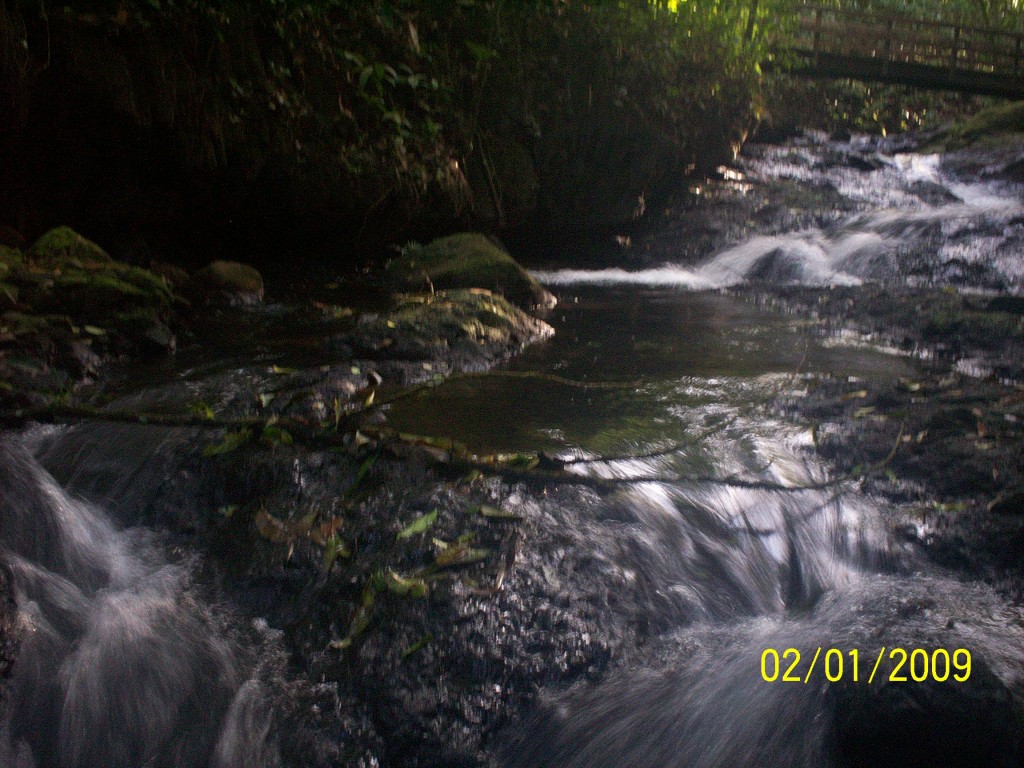 Foto de Aguas Zarcas (Alajuela), Costa Rica
