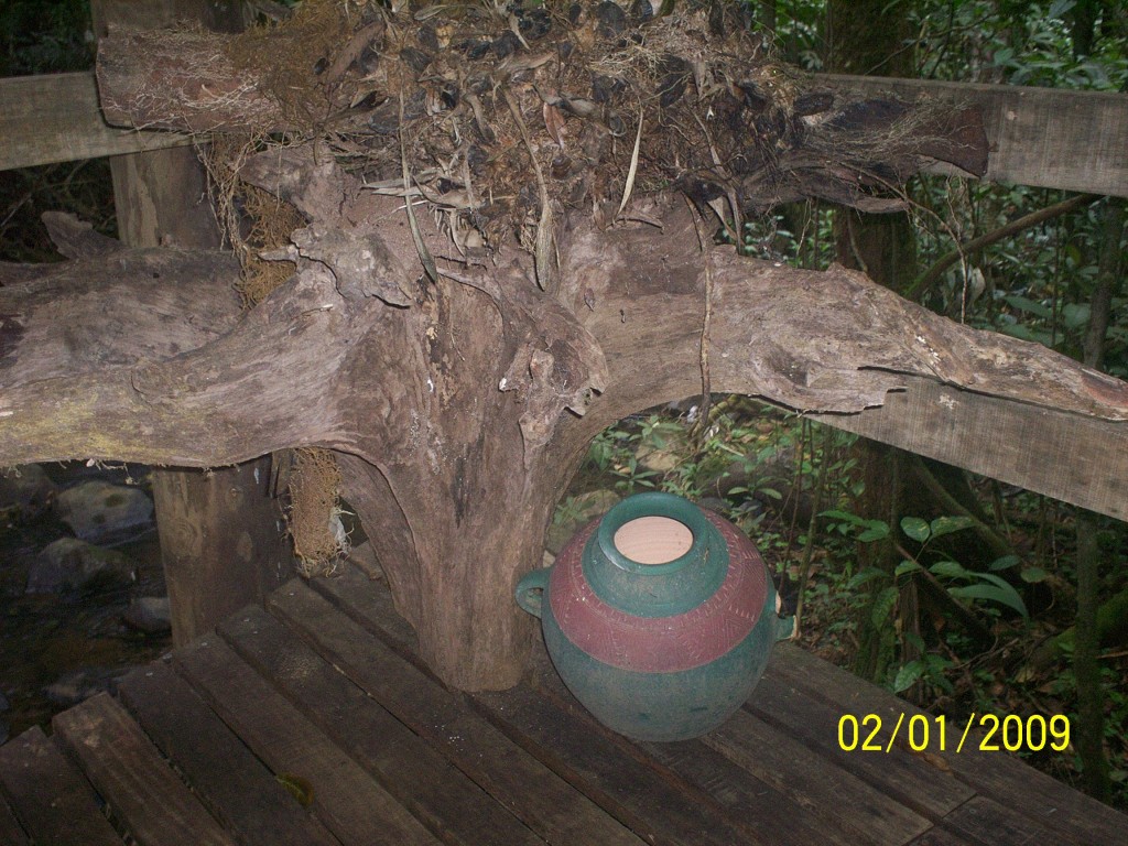 Foto: Aguas Termales - Aguas Zarcas (Alajuela), Costa Rica