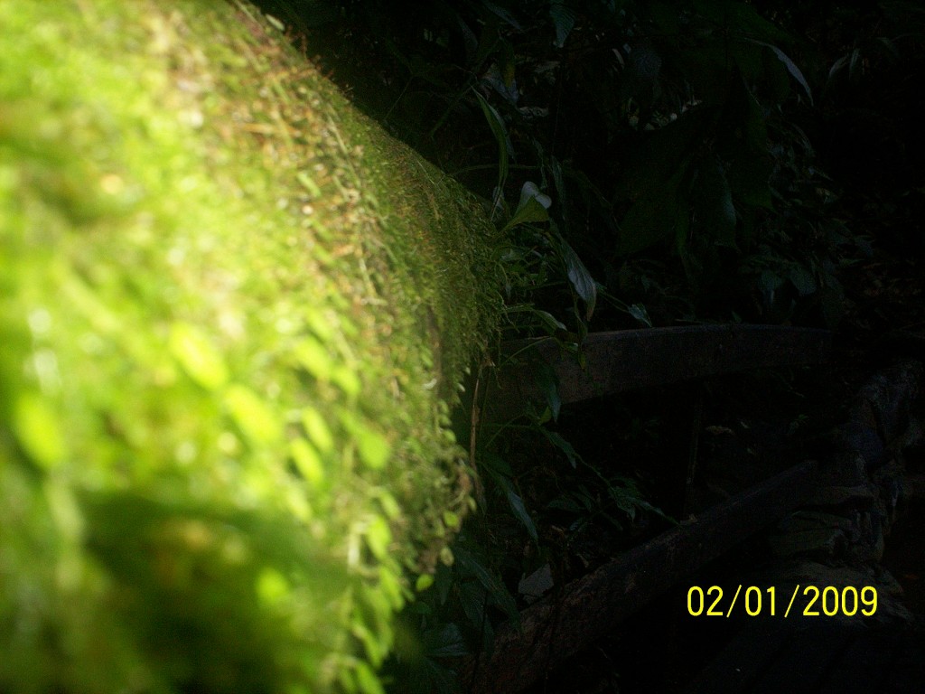 Foto: Aguas Termales - Aguas Zarcas (Alajuela), Costa Rica
