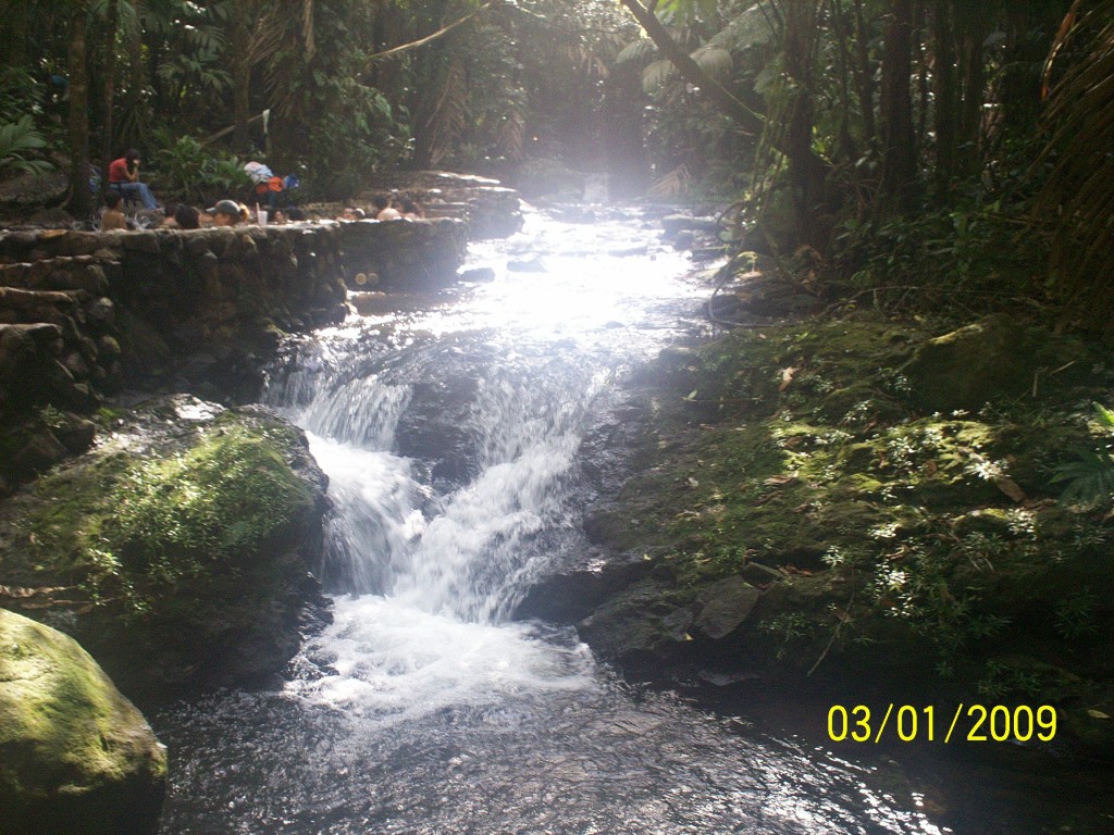 Foto: Aguas Termales - Aguas Zarcas (Alajuela), Costa Rica