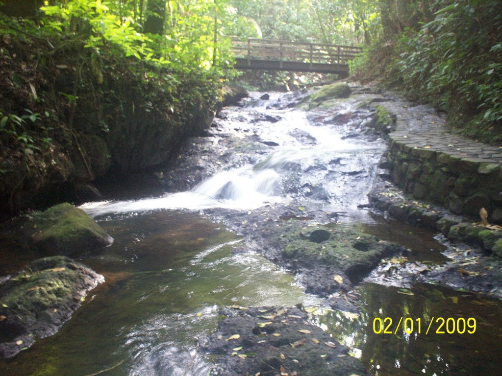 Foto: Aguas Zarcas - Aguas Zarcas (Alajuela), Costa Rica
