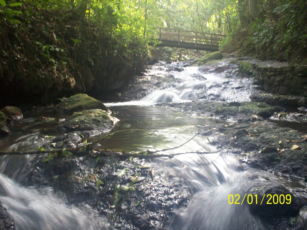 Foto: Manantial Aguazarcas - Aguas Zarcas (Alajuela), Costa Rica