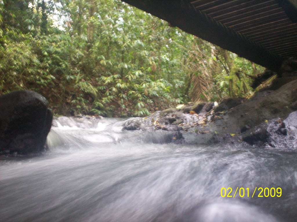 Foto: Manantial Aguazarcas - Aguas Zarcas (Alajuela), Costa Rica