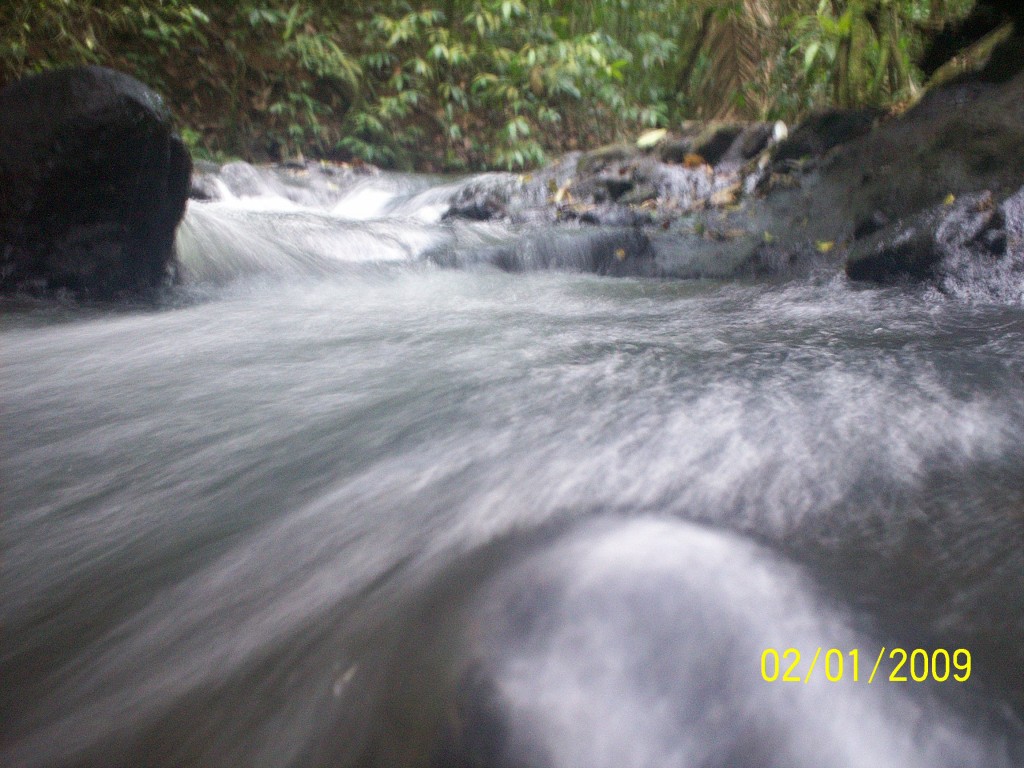 Foto: Manantial Aguazarcas - Aguas Zarcas (Alajuela), Costa Rica