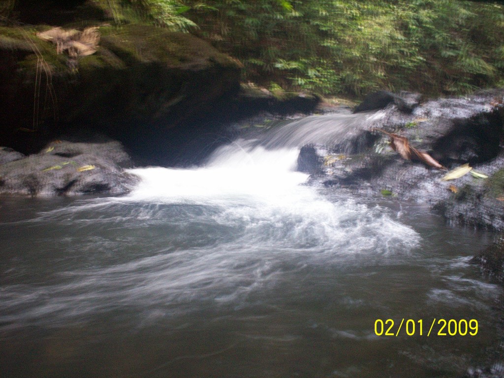 Foto: Manantial Aguazarcas - Aguas Zarcas (Alajuela), Costa Rica