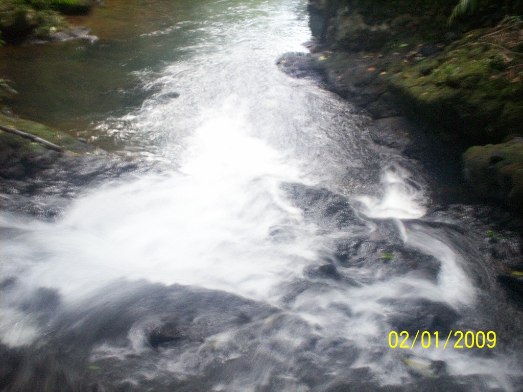 Foto: Manantial Aguazarcas - Aguas Zarcas (Alajuela), Costa Rica