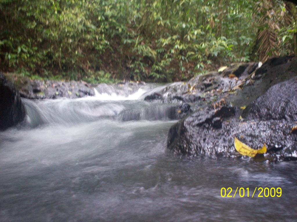Foto: Aguas Zarcas - Aguas Zarcas (Alajuela), Costa Rica