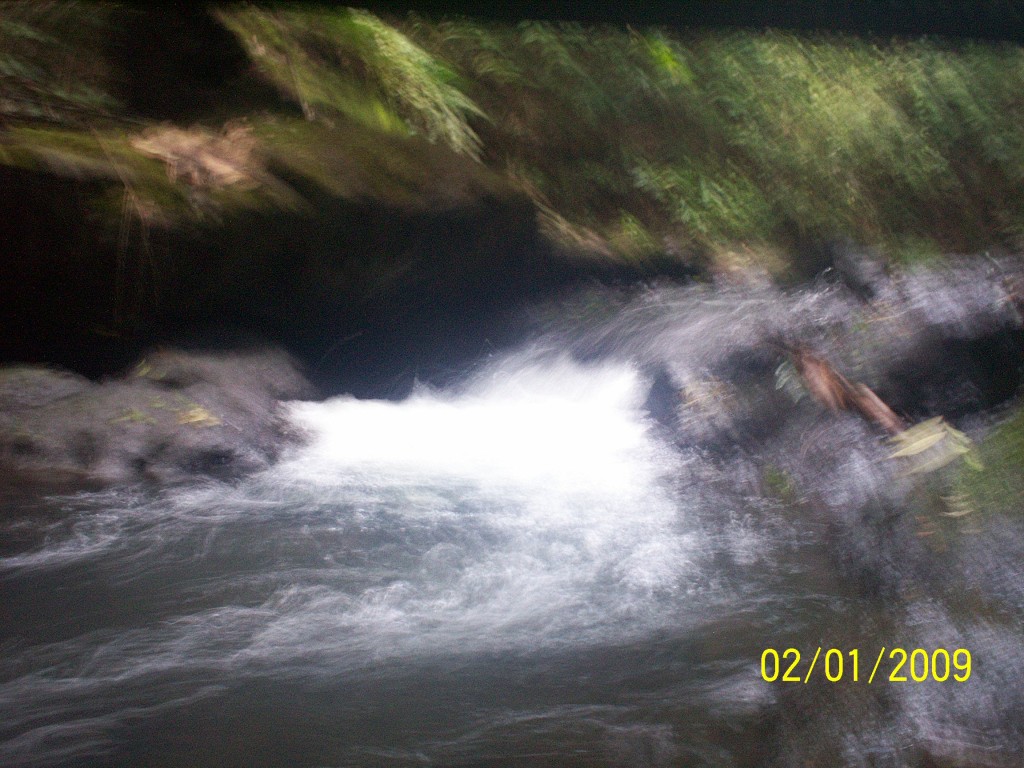 Foto: Aguas Zarcas - Aguas Zarcas (Alajuela), Costa Rica