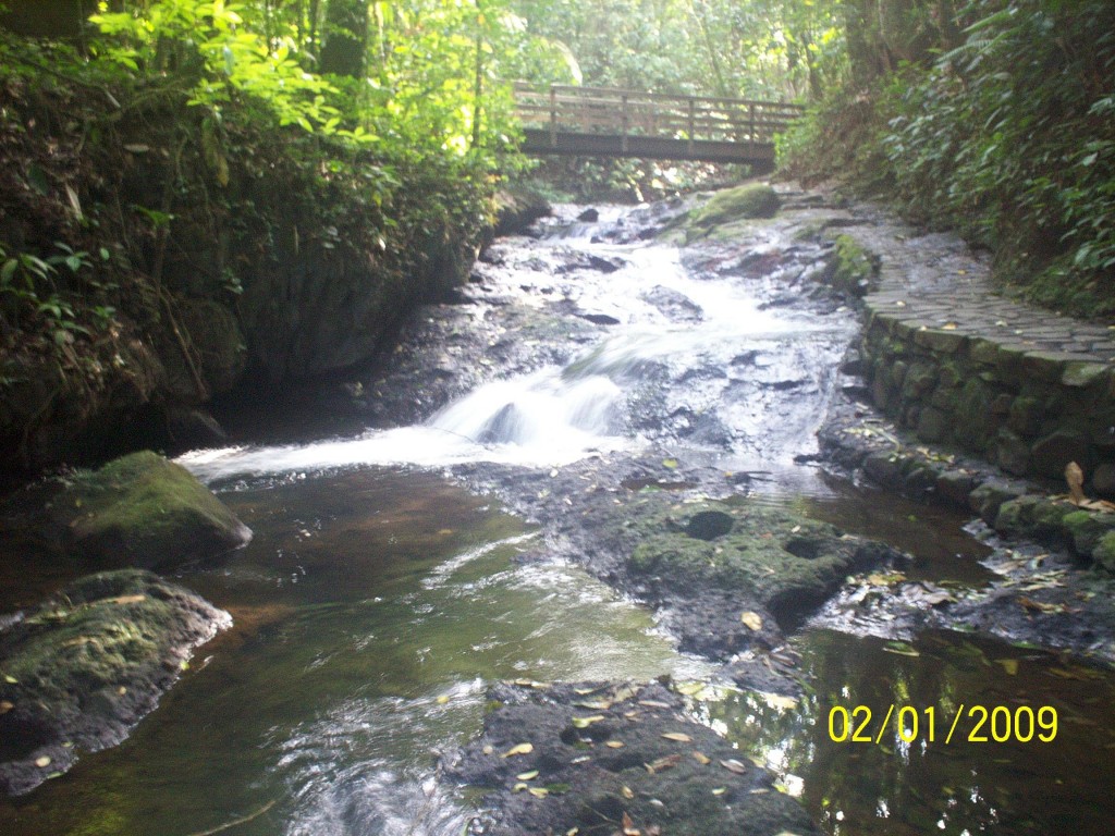 Foto: Nacientes Termales - Aguas Zarcas (Alajuela), Costa Rica
