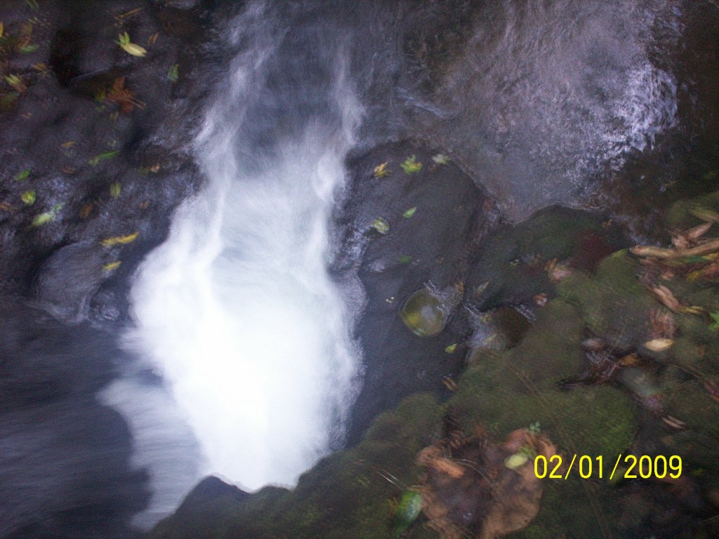 Foto: Termales Aguas Zarcas - Aguas Zarcas (Alajuela), Costa Rica